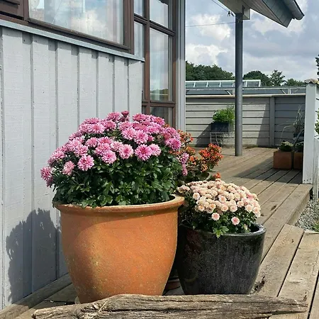 Med Panoramaudsigt Ved Haderslev Kelstrup Strand