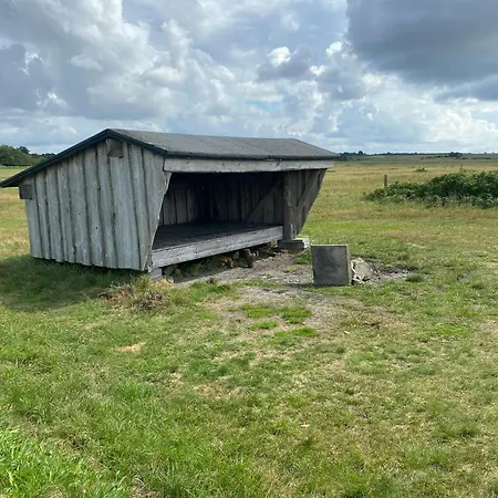 Dom wakacyjny Med Panoramaudsigt Ved Haderslev Kelstrup Strand