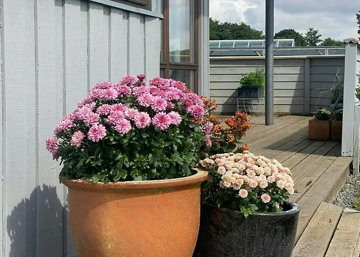 Sommerhus Med Panoramaudsigt Ved Haderslev Haderslev